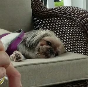 Meet your Posher, Rhonda